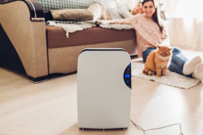 Basement Dehumidifier Service in Cincinnati, OH